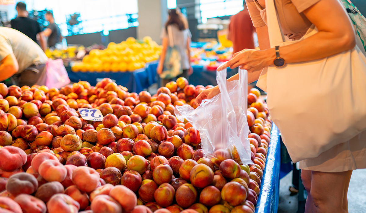 La importancia de llevar bolsas ecológicas para las compras